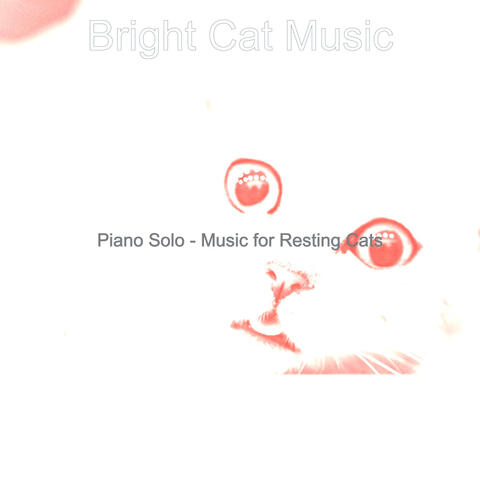 Piano Solo - Music for Resting Cats