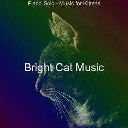 Background for Relaxing Your Cat