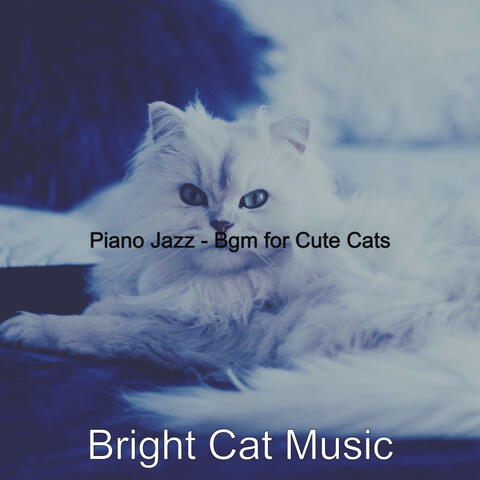 Piano Jazz - Bgm for Cute Cats