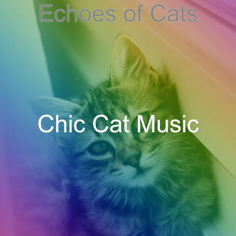Echoes of Cats