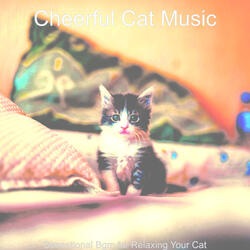 Background for Cats