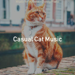 Stellar Solo Piano Jazz - Vibe for Relaxing Your Cat