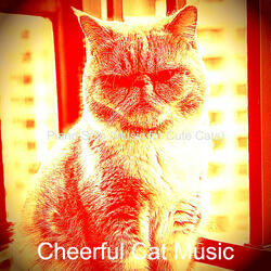 Casual Relaxing Your Cat