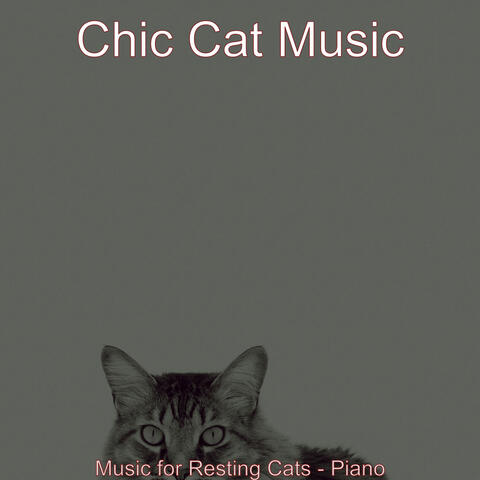 Music for Resting Cats - Piano