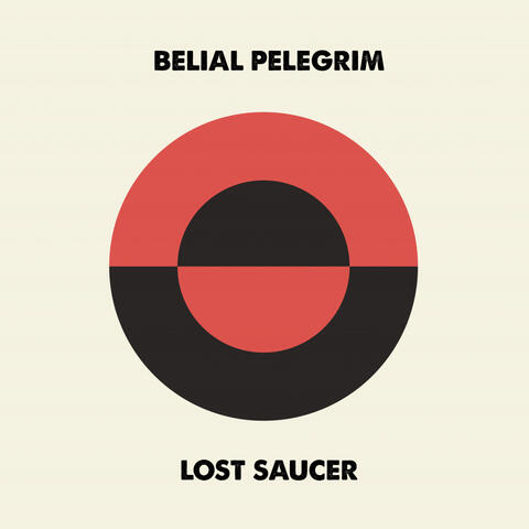 Lost Saucer