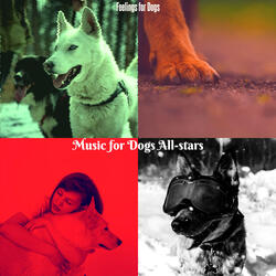 Mind-blowing Ambiance for Training Dogs