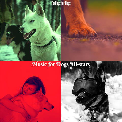 Feelings for Dogs