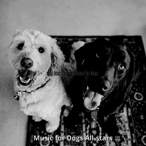 Hip Jazz Trio - Ambiance for Dogs