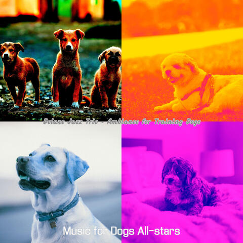 Deluxe Jazz Trio - Ambiance for Training Dogs