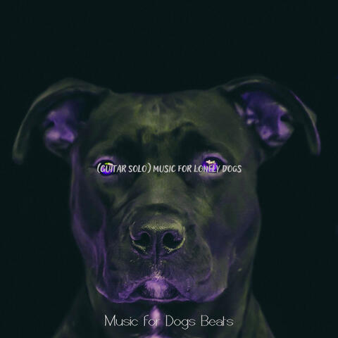 (Guitar Solo) Music for Lonely Dogs