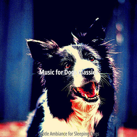 Subtle Ambiance for Sleeping Dogs