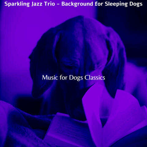 Sparkling Jazz Trio - Background for Sleeping Dogs