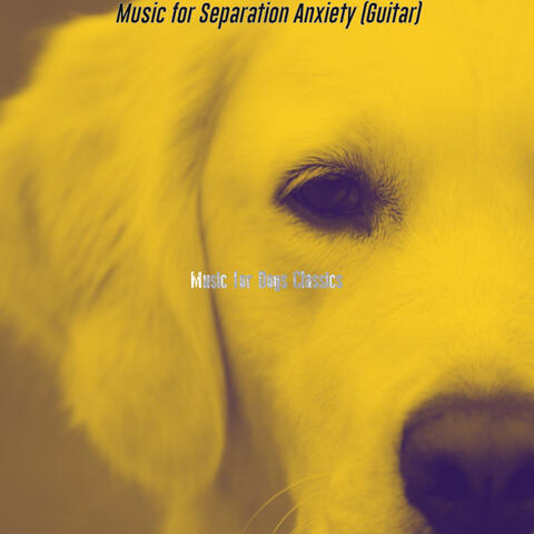 Music for Separation Anxiety (Guitar)
