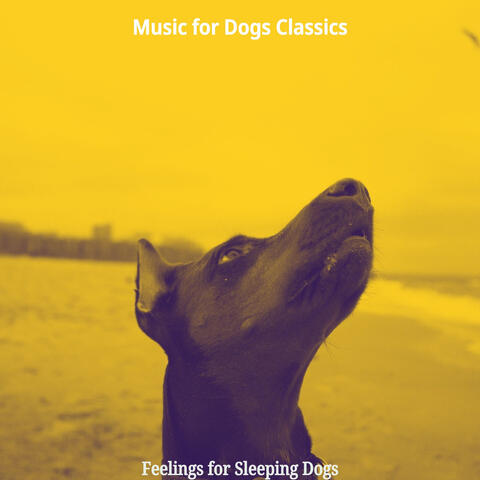 Feelings for Sleeping Dogs