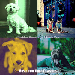 Trio Jazz Soundtrack for Cute Puppies