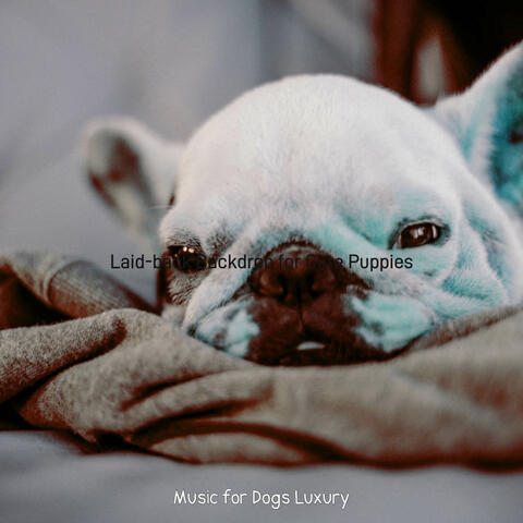 Laid-back Backdrop for Cute Puppies