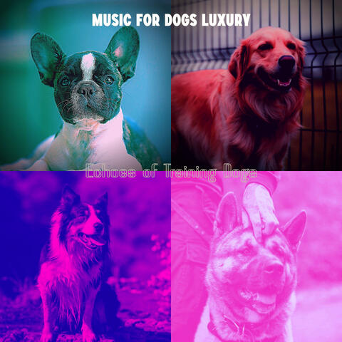 Echoes of Training Dogs