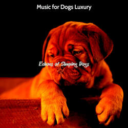 Modish Ambiance for Cute Puppies