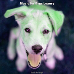 Bubbly Jazz Guitar Trio - Vibe for Cute Puppies