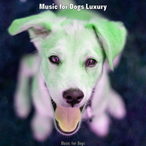 Music for Dogs