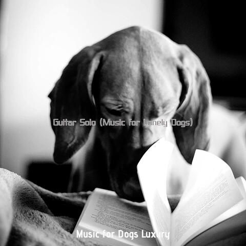 Guitar Solo (Music for Lonely Dogs)
