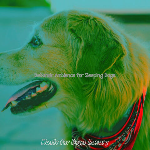 Debonair Ambiance for Sleeping Dogs