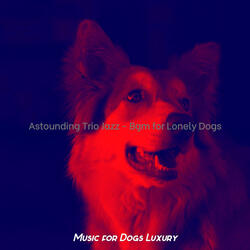 Pulsating Jazz Guitar Trio - Vibe for Training Dogs
