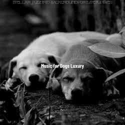 Dream Like Ambience for Training Dogs