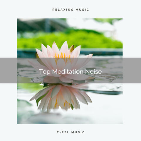 ! ! ! ! ! ! ! Top Meditation Noise
