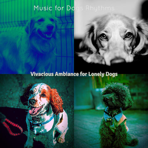Vivacious Ambiance for Lonely Dogs
