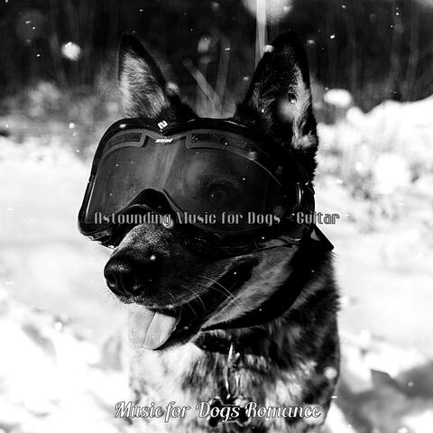 Astounding Music for Dogs - Guitar