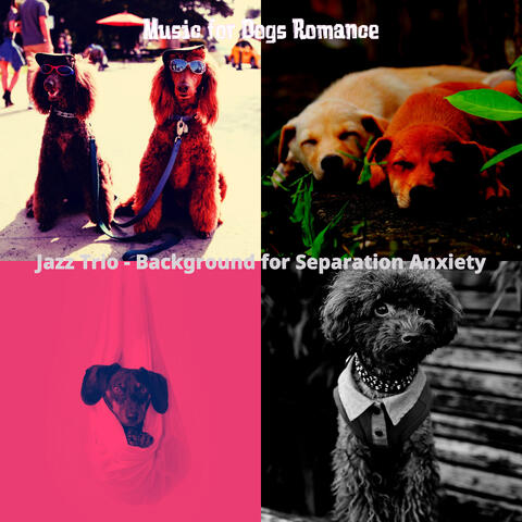 Jazz Trio - Background for Separation Anxiety