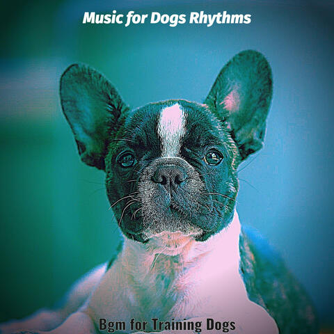 Bgm for Training Dogs