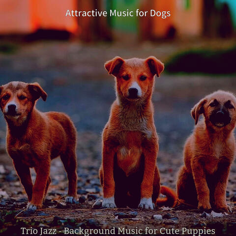 Trio Jazz - Background Music for Cute Puppies