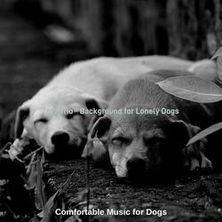 Contemporary Separation Anxiety