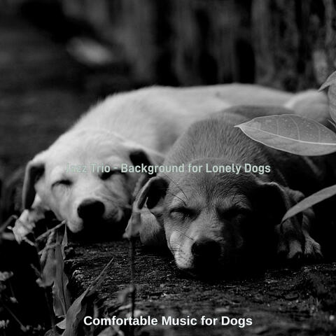Jazz Trio - Background for Lonely Dogs