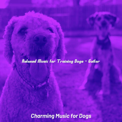 Relaxed Music for Training Dogs - Guitar