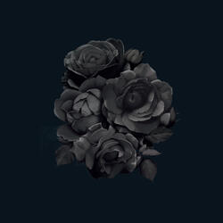 Black Ice