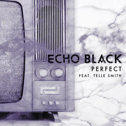 Perfect (feat. Telle Smith)