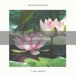 Instant Zen Soft Tunes and Flowing Stream pt. 1