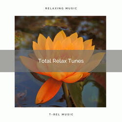 Zen Calm Music and Flowing Stream pt. 1