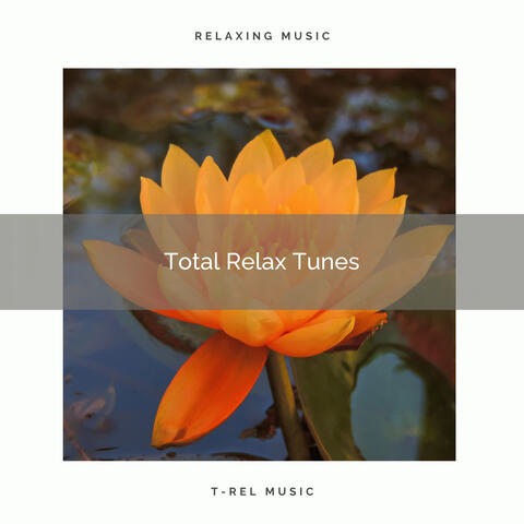 ! ! ! ! *Total Relax Tunes* ! ! ! !