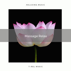 Brilliant Zen with Calm Vibes pt. 3