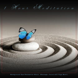 Zen Music For Meditation and Zen Nature Sounds