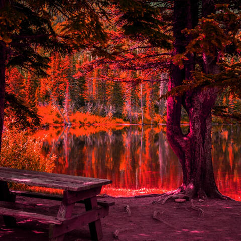 Backdrop for Reiki Flow - Motivational Words
