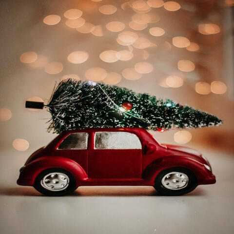 In the Bleak Midwinter - Christmas 2021