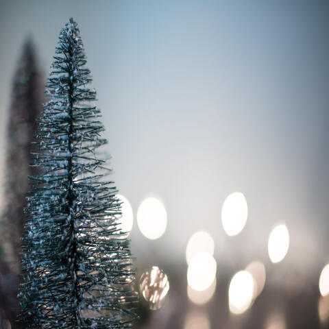 In the Bleak Midwinter - Christmas Shopping