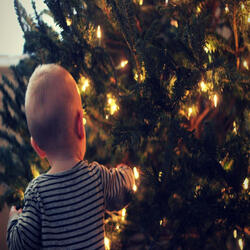 The First Nowell - Xmas Shopping