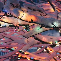 Auld Lang Syne
