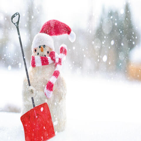 Christmas Holidays - We Wish You a Merry Christmas